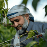 Cascara Qishir 🇾🇪 Yemen - immagine 4